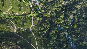 Spice Jungle Resort