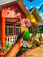 The Boardwalk Village