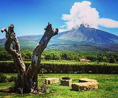 La Fucina di Vulcano