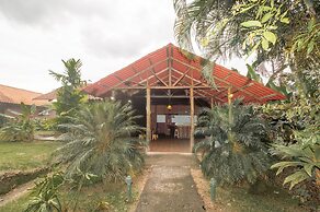 Arenal Green