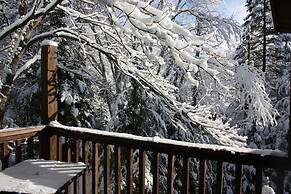 Chalets & Studios Le Vent du Nord