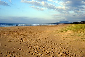 Discovery Parks - Gerroa