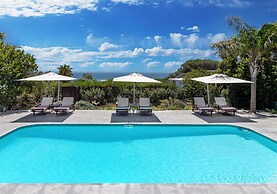 Sovn Experience+Lifestyle