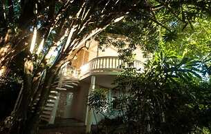 Cabarete Surf Camp