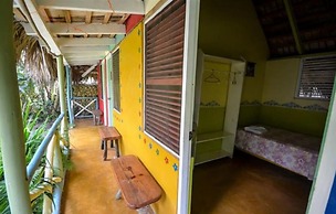 Cabarete Surf Camp