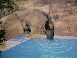Mbizi Bush Lodge