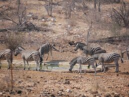 Mbizi Bush Lodge