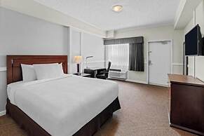 Elk Island Studios – Lamont