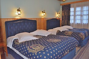 Asteri Metsovo