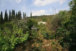 Amirim Atmosphere