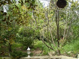 Amirim Atmosphere