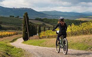 B&B Borgo Vera