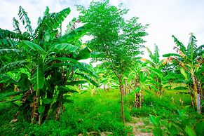 A Little Leaf Homestay