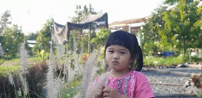 Pan's farm