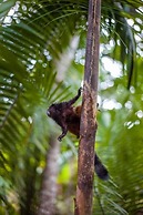 Tronco Tambopata Adventure