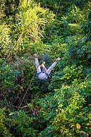 Tronco Tambopata Adventure