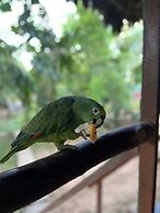 Tronco Tambopata Adventure