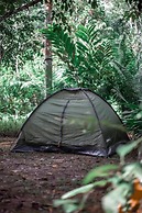 Tronco Tambopata Adventure