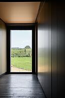 Laqua Vineyard