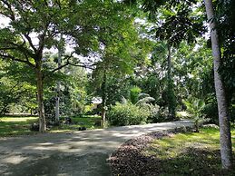 Sepilok B&B