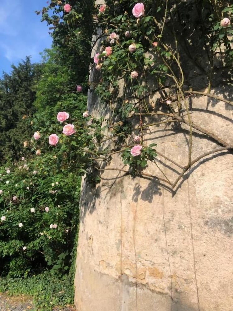 Chateau de la Mothe