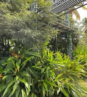 Rain Homestay