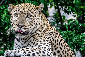 MILIMA Big 5 Safari Lodge
