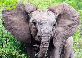 MILIMA Big 5 Safari Lodge