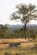 MILIMA Big 5 Safari Lodge