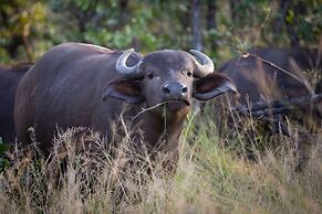 MILIMA Big 5 Safari Lodge