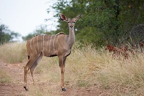 MILIMA Big 5 Safari Lodge