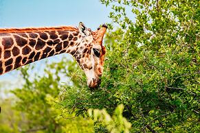 MILIMA Big 5 Safari Lodge