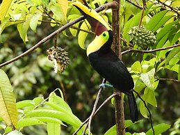 Esquipulas Rainforest