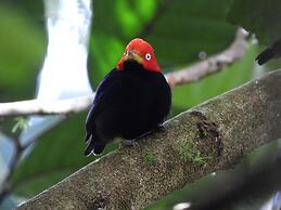 Esquipulas Rainforest