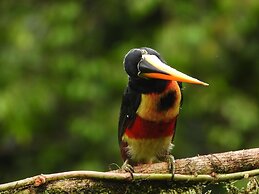 Esquipulas Rainforest