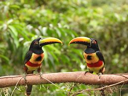 Esquipulas Rainforest