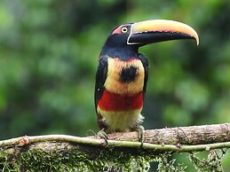 Esquipulas Rainforest