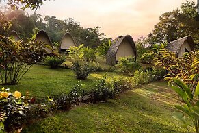 Esquipulas Rainforest