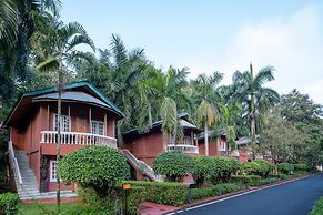 Zone Niathu Dimapur By The Park