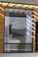 Pulso Valle de Guadalupe