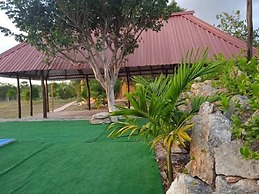 Eco hotel Shalom