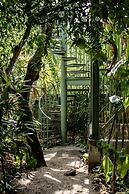 The Canopy