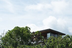 The Canopy