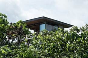 The Canopy