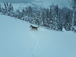 Le Ski Shack