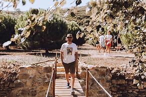 João Jungle