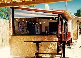 João Jungle