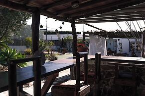 João Jungle
