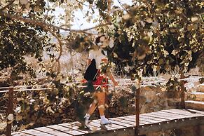João Jungle