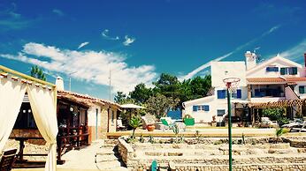 João Jungle